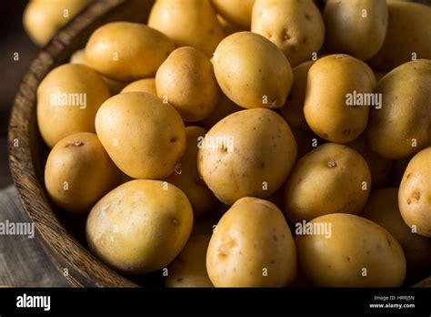Baby rote kartoffeln -Fotos und -Bildmaterial in hoher Auflösung – Alamy