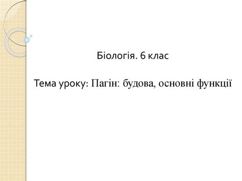 Пагін: будова, основні функції - презентация онлайн