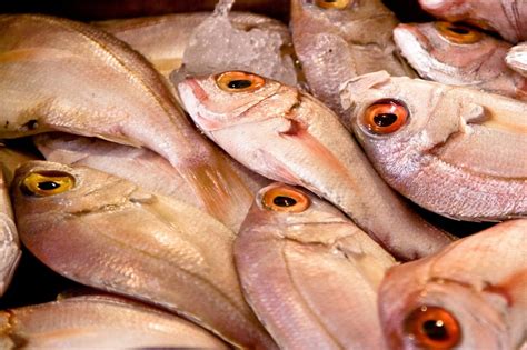 Raw Fish at Market Royalty-Free Stock Photo