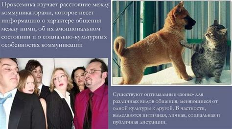Проксемика. Дистанция - презентация онлайн