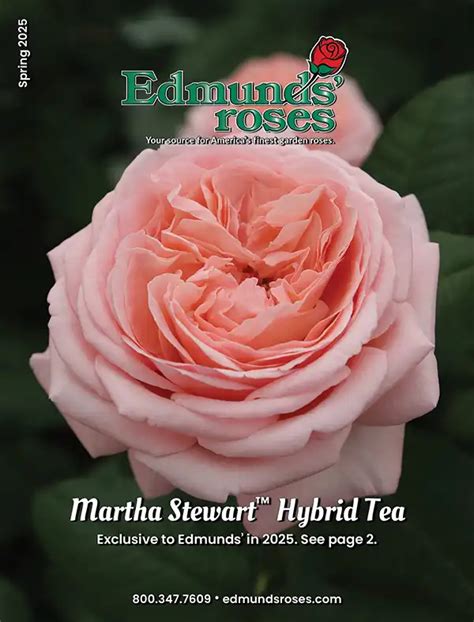 Rose Bushes | Garden Rose Bushes | Garden Rose Catalog | Garden Rose ...