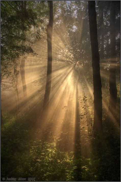 Лучики.. | Nature photography, Nature pictures, Nature photos