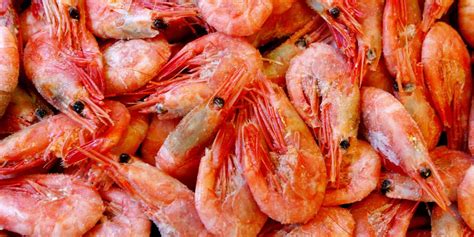 Polar Seafood reports best year in history | IntraFish.com