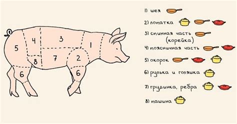 Шпаргалки для кухни