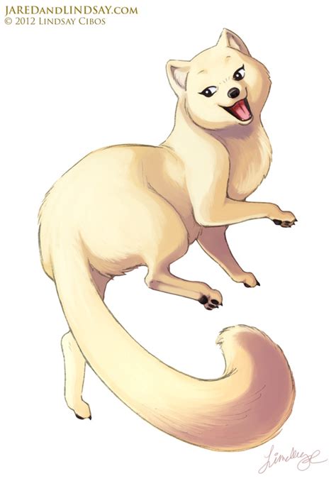 Arctic Fox Drawing at GetDrawings | Free download