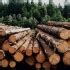 ВЕРОИСПОВЕДАНИЕ ударение в слове – как правильно ставить и на какой слог