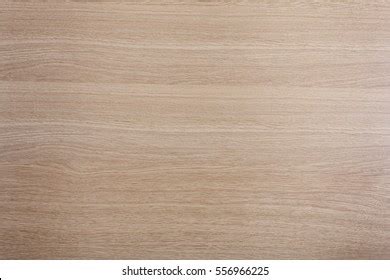 shutterstock
