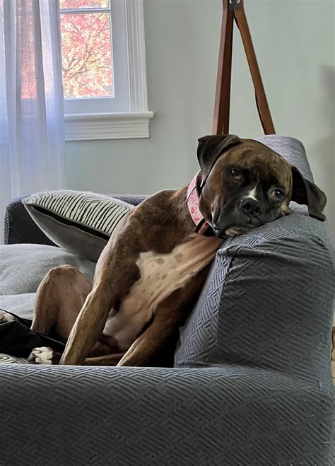 What Does Aromatic Mean - RYZE Superfoods