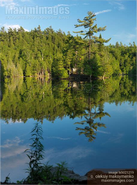 Photo of Ontario Nature Scenery | Stock Image MXI21219