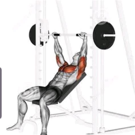 Incline Bench Press ( Smith ) - Exercise How-to - Workout Trainer by ...