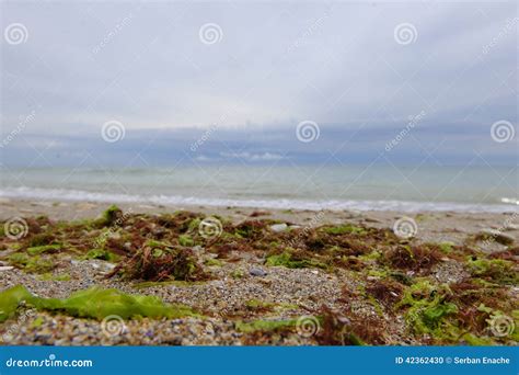 Beach in Vama Veche stock photo. Image of water, vama - 42362430