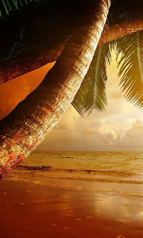 Beach Sunset Live Wallpaper APK for Android - Download
