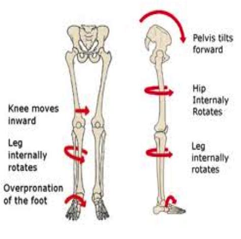The Importance of The Lumbopelvic Hip Complex by Erin Ritterbusch