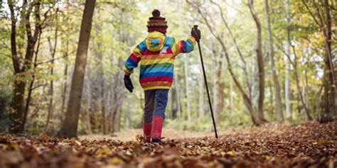 Fall Colors in the Smoky Mountains | Fall Foliage Around Pigeon Forge TN