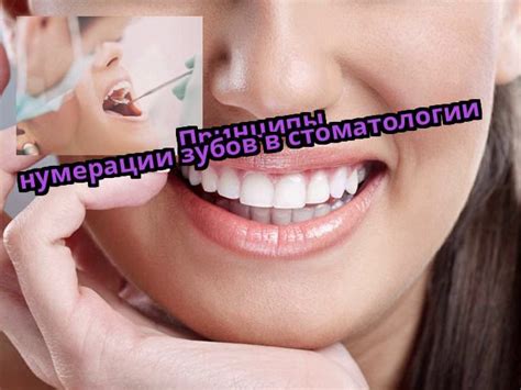 Нумерация зубов в стоматологии (схема и фото)