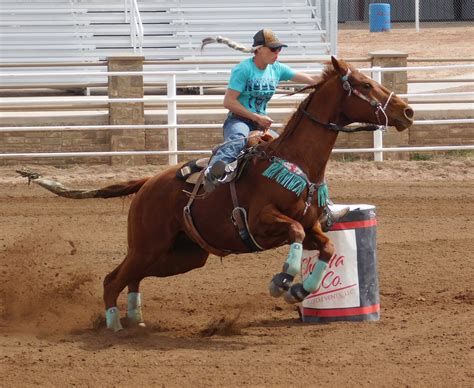 Barrel Racing | Rodeo life, Barrel racing, Horse life