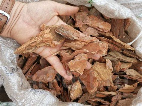 Кора сосны отборная фр 3-5см мульча люкс. 60 литров, новый, в наличии ...