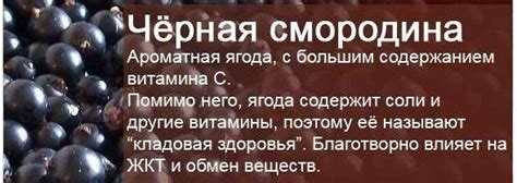 Смородина при гипертонии: повышает или понижает давление?