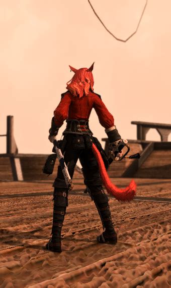 Swashbuckler | Eorzea Collection