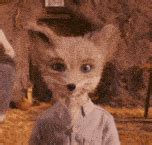 Kristofferson Silverfox GIF - Kristofferson Silverfox Talk - Discover ...