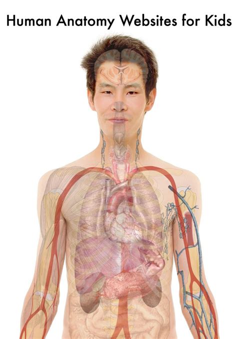 human
