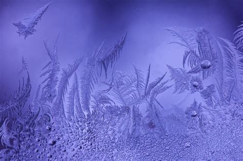 Морозные узоры: 26 фотографий о волшебстве зимы — Российское фото