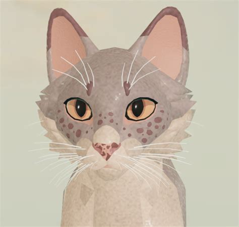 Коты воители роблокс скины красивые - Cheat-Game.ru