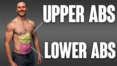 How to target lower & upper abs: BEST science based ab exercises & ab ...