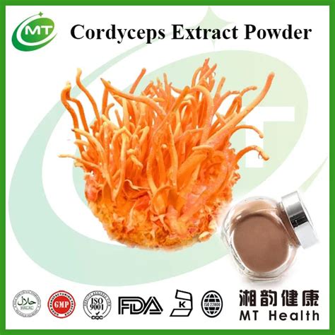 Cordyceps Militaris Extract / Cordyceps Extract Powder - Buy Cordyceps ...