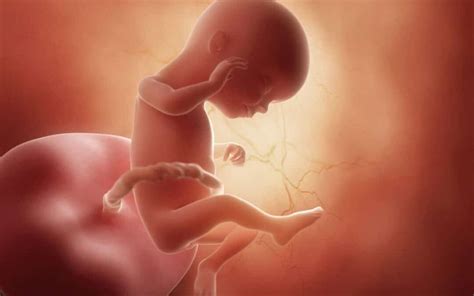 16 weken zwanger - Meer Voor Mama’s - Zwanger