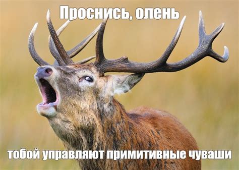 Создать мем "благородный олень изюбрь, рогатый олень, дикий олень ...