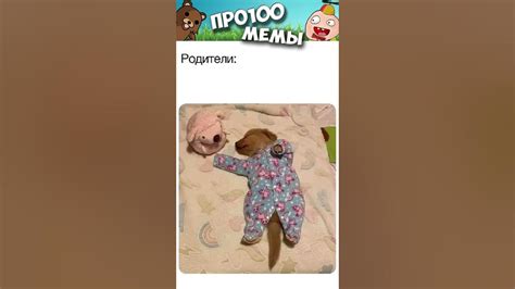 Мемы 2022 #приколы #юмор #собачки #собаки #мемы #мем - YouTube