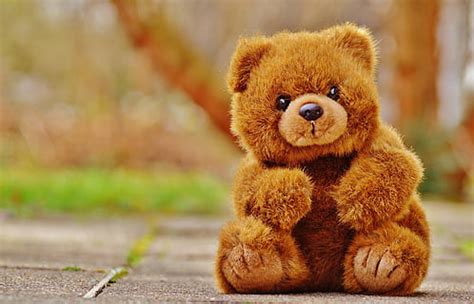 hd wallpaper girl  teddy bear girls beige lace dress brown teddy