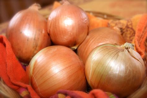 Onions Are My Favorite Vegetable....REALLY! 10 Great Onion Recipes ...