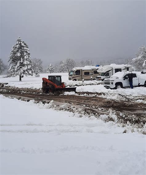 Winter Pierzina 2022