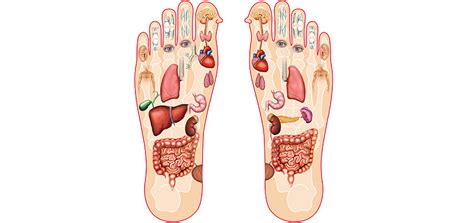 Reflexology: discovering this technique and its benefits - WeMystic