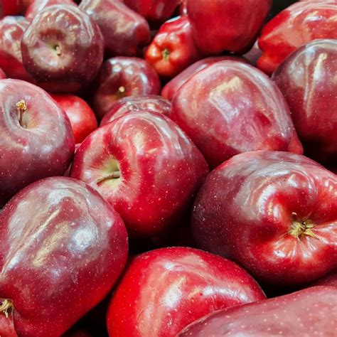 red delicious apple  living urn