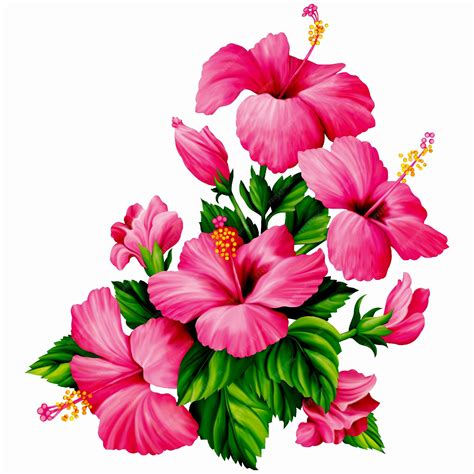Imprimir flores florales | Vector Premium