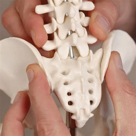 coccydynia treatment  coppell tx apex interventional pain spine