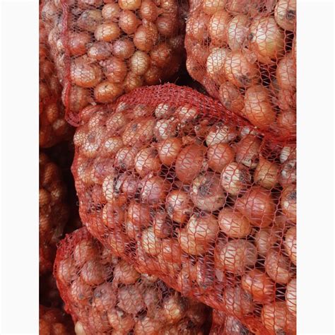 Продам лук Штутгарт, купить лук Штутгарт, Одесская обл — Agro-Ukraine