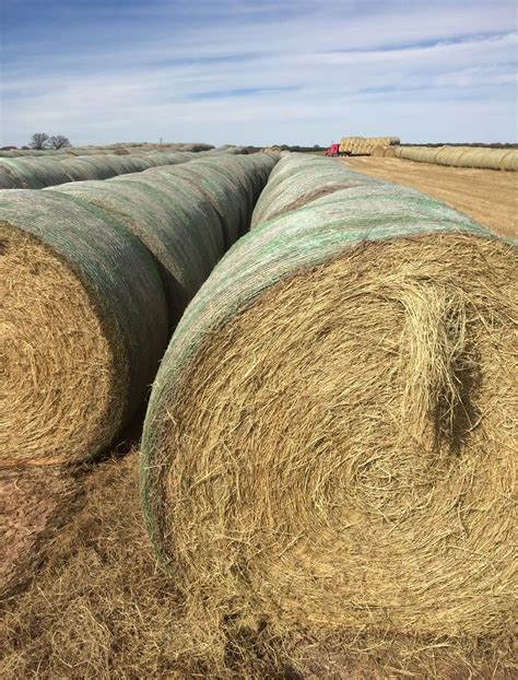 Hay for Sale | Coastal Bermuda, Alfalfa & More – Bryan Morris Farms