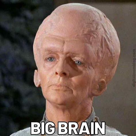 Big Booty, Big Brains: My Tech Journey From Zero to Hero - 07b10o6