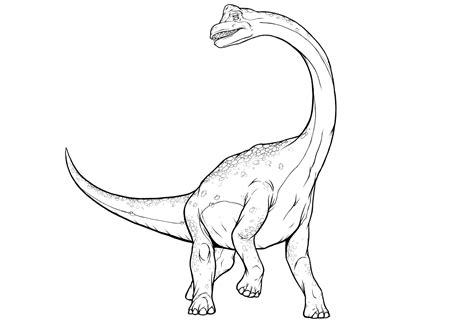 brachiosaurus drawing  paintingvalleycom explore collection