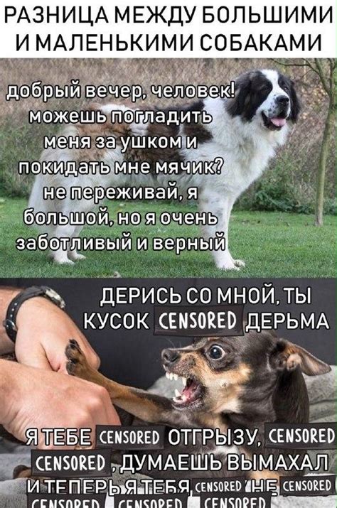 Cмешные картинки и фото-приколы