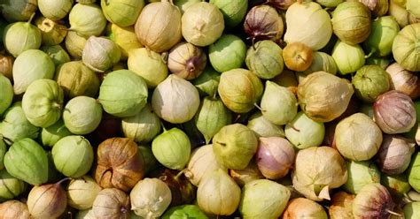 A Guide To Mexico's Different Fruits And Vegetables And How To Use Them