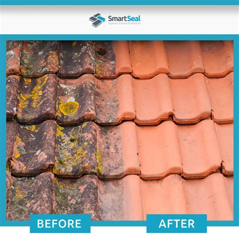 Roof Moss Remover | Roof Moss & Algae Killer