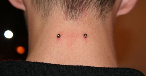 What Is A Nape? - WhatIsMeaningOf