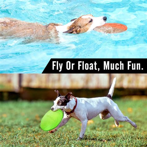 Летающая тарелка для собак Dog-soar - Супер пес