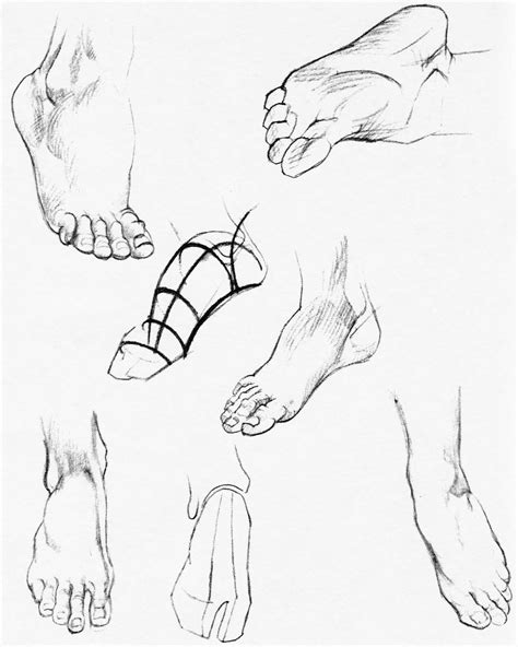 How to Draw the Foot : Drawing Feet and the Anatomy of them Reference ...