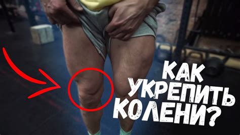 5 УПРАЖНЕНИЙ ДЛЯ ТВОИХ КОЛЕН / ИЛЬЯ КРОХА - YouTube